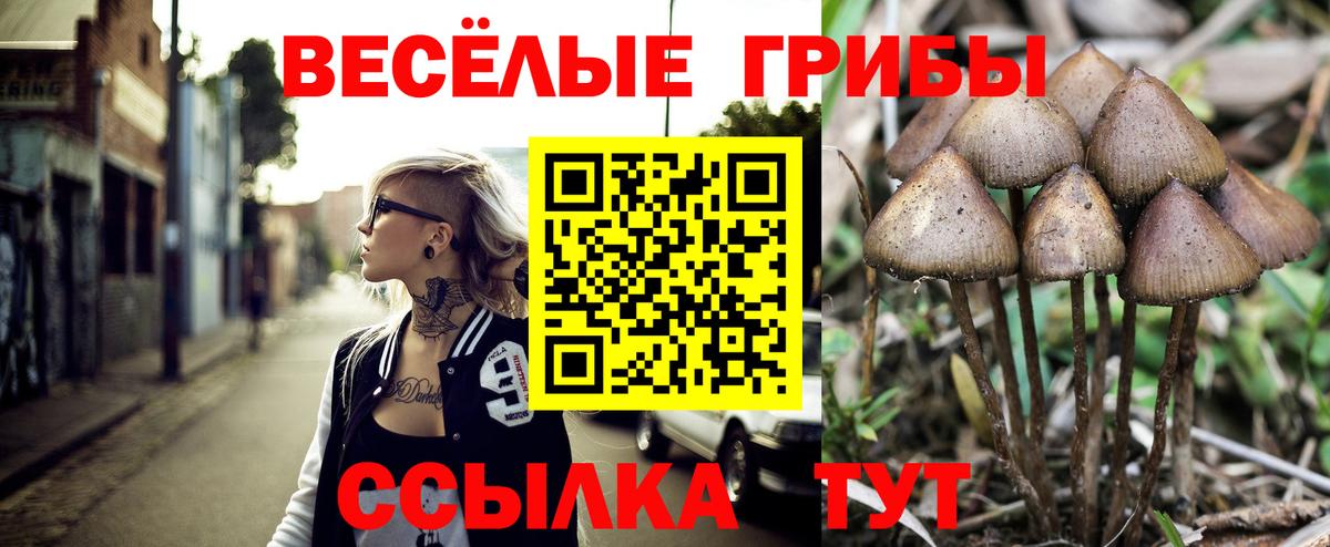 Галлюциногенные грибы ЛСД  Вход с VPN  Унеча 
